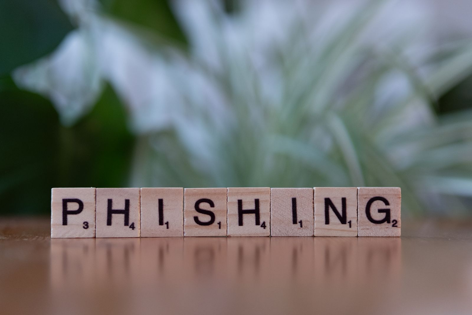 Phishing Scams